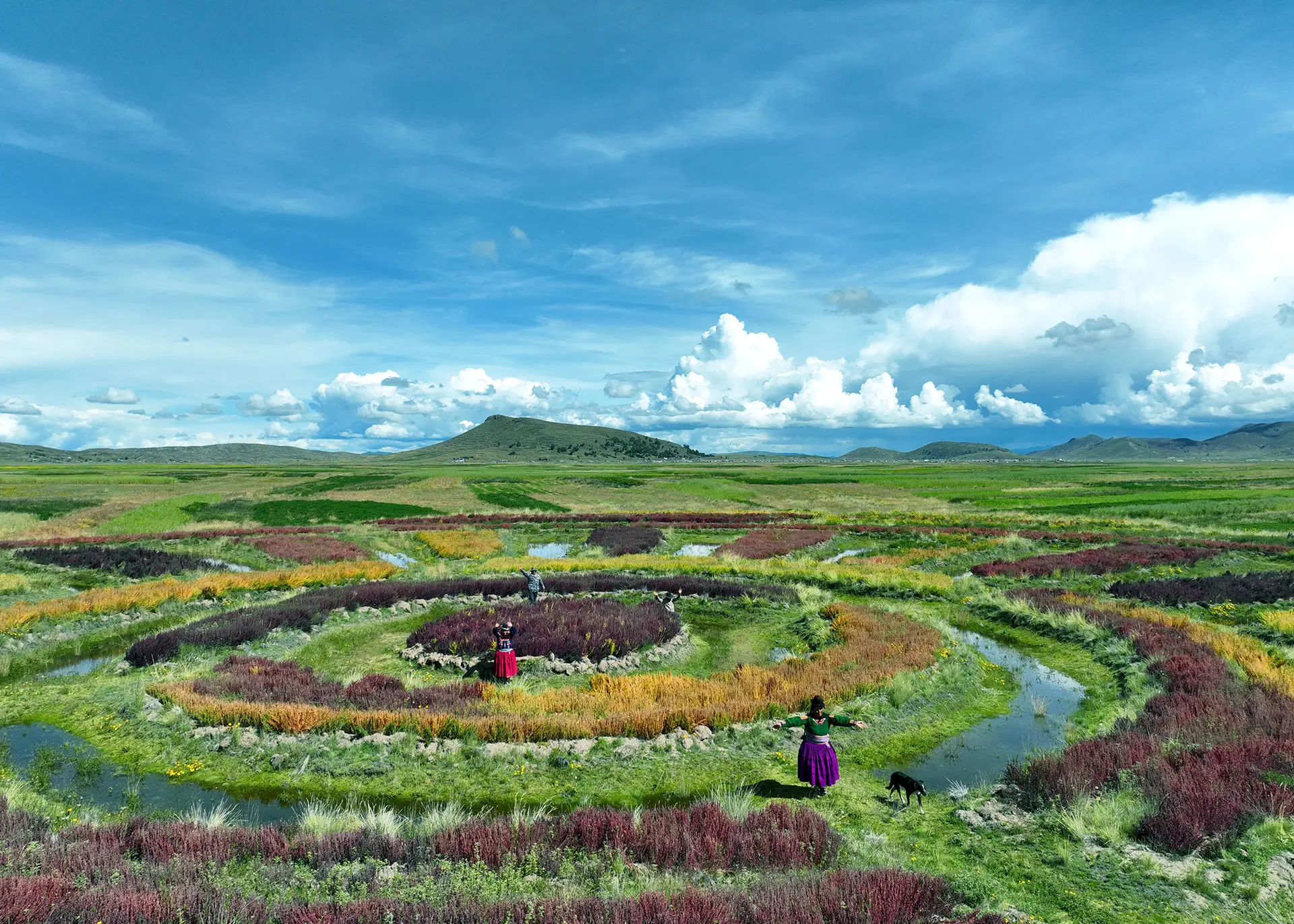 Farmers working a Waru Waru agricultural field in Peru © World Monuments Fund